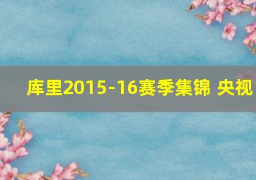 库里2015-16赛季集锦 央视